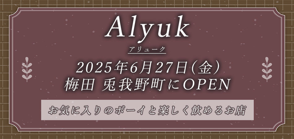 アリュークAlyukOPENバナー
